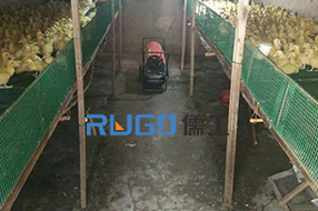 冬季，家畜養(yǎng)殖取暖使用儒工燃油暖風(fēng)機(jī)